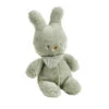 Nattou - Tipidou - Peluche Lapin Vert 30 Cm